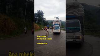 Download Lagu Apa muat mbelek? Aromanya khas banget #shorts #sicebaklauik MP3