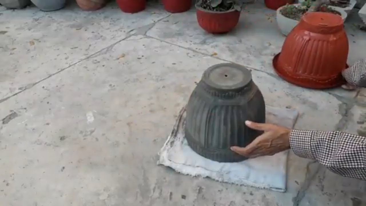 how to make cement pot at home  YouTube