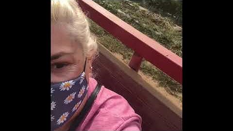 St. Justine’s Fall Virtual Field Trip