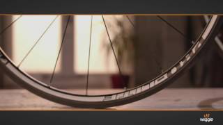 ProLite Bortola, C28W Carbon Clincher Wheelset