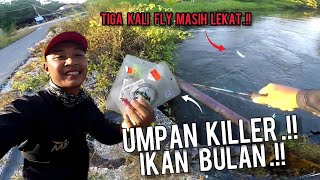 Casting Ikan Bulan/Tarpon | Arus Deras Lubuk Ikan Bulan Memburu MANGSA | Vlog252