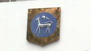 Insurance Companies Further Ruin People Allegedly Forcing Them To Buy Comprehensive Insurance