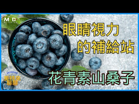 保健視力的補給站! 眼睛健康的保養品-花青素山桑子|MEDBRING美特健康|【美特來聊聊】