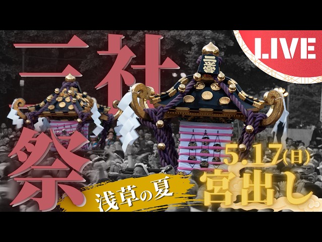 LIVE】「三社祭」2026｜本社神輿宮出し｜定点カメラ配信 - YouTube