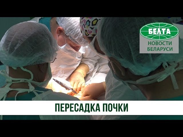 Как проходит пересадка почки