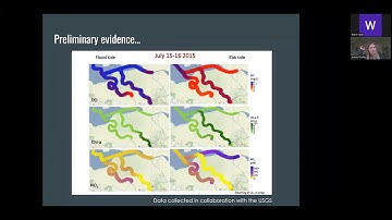 Lunch and Learn Science: Sloughs and Salt Ponds – Investigating Water Quality in a Complex Ecosystem