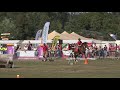 Best Sport Ever... Horseboarding