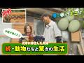 「続・動物と暮らす夫婦」幸せを呼ぶ青い卵を孵化！循環する生活を営む2人の挑戦
