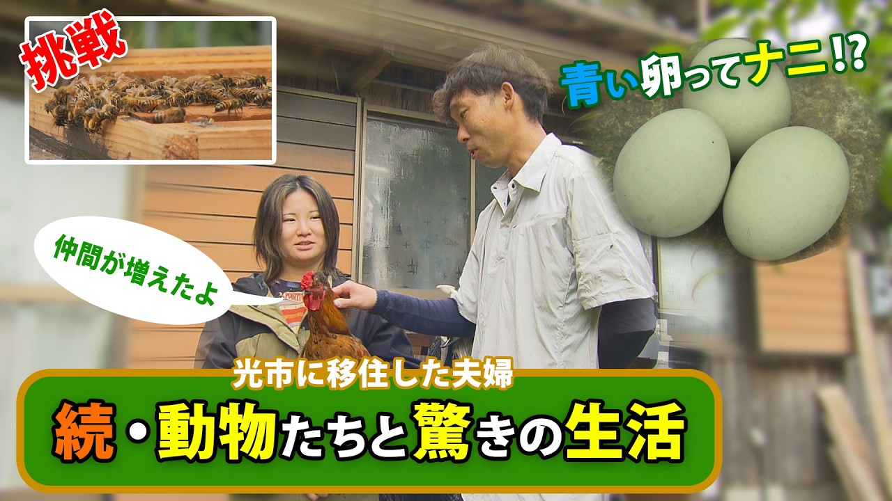 The Couple Who Live with Animals, Part 2