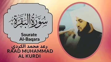 سورة البقرة كاملة للقارئ رعد الكردي 2021 Surah Al Baqarah Raad Muhammad Al Kurdi