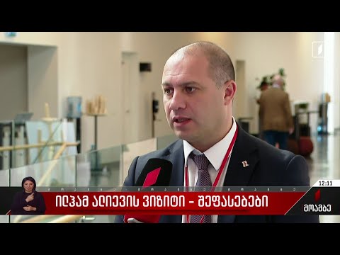 ილჰამ ალიევის ვიზიტი - პარლამენტის დეპუტატების შეფასებები