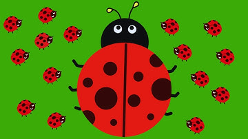 Happy Mini POP Creating Satisfying #1  #diy #relaxing #creative #asmrsounds #satisfyingvideo