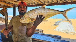 Colourful Queenfish Cutting Skill | Fastest Tuna Fish Cutting Skill | Long Gar Fish Cutting Skill