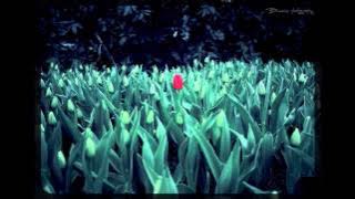 ACOUSTIC GUITAR RAP HIP-HOP INSTRUMENTAL # The Only One