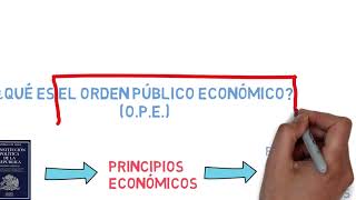 11. ¿Qué es el Orden Público Económico?
