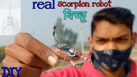 how to make scorpion robot ||DIY || बिच्छू रोबोट कैसे बनाएं बहुत ही आसानी से अपने घर पर