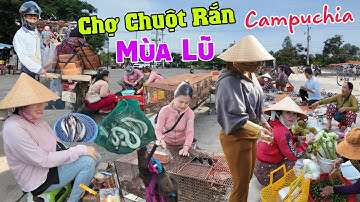 Chợ Chuột Rắn biên giới Campuchia mùa lũ 2025 cách con sông lớn