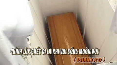 Lễ Tang Cha Cố GiuSe (1923-2005)  (165)