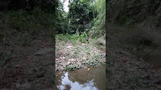 Mi Madre Cogiendo El Caballo