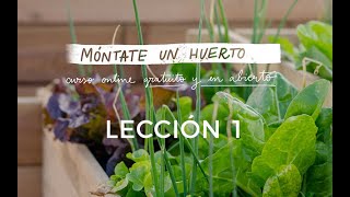 Curso Online Gratuito Móntate Un Huerto: LECCIÓN 1- Seleccionar los cultivos que mejor te convienen