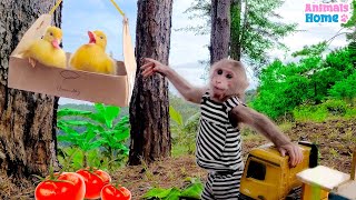 Smart Obi Helps Dad Take Care Of Duckings