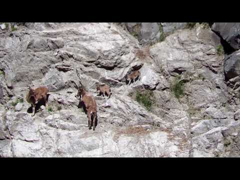 Video: Tajomstvo Horned Mountain: Podivné Zmiznutia ľudí V Oblasti Nižného Novgorodu - Alternatívny Pohľad