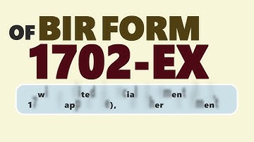 FILING & PAYMENT of BIR Form 1702 – EX
