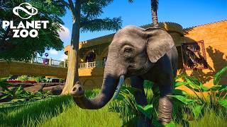 Creating a HUGE Habitat for Bornean Elephants in Planet Zoo
