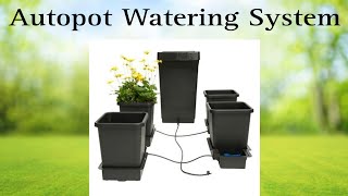 Autopot Gravity Fed Watering System