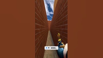 SCP-096 CHASES ME In The Maze 😱