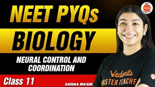NEET PYQs for Neural Control and Coordination | Class 11 Biology | NEET 2024