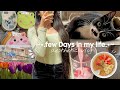 Days in my life in india   aesthetic vlog indian  shopping cooking  travel n more