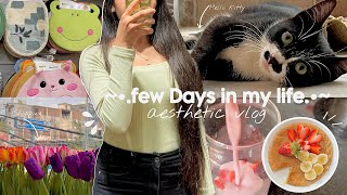 Days in my life in India 🌷 | Aesthetic vlog Indian | shopping, cooking , travel n more