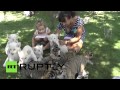 Детям дали поиграть с тигрятами и львятами крымского сафари-парка «Тайган»