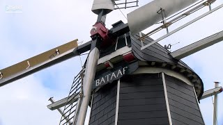 Gelderse Molendag 2023 molen de Bataaf Winterswijk - Thumbnail