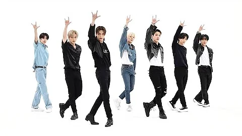 Stray Kids CASE 143 Mirrored Dance Practice