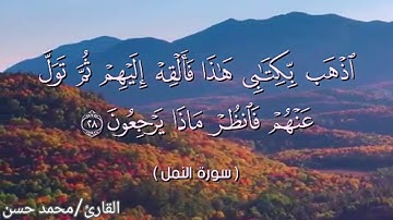 تلاوة من سورة النمل -- بصوت القارئ/ محمد حسن