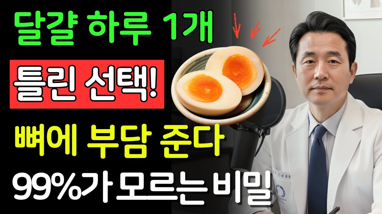 달걀은 뼈의 적인가, 아군인가? 매일 삶은 달걀을 먹는 사람의 결과와, 뼈를 보호하는 단백질의 황금 비율 | 건강의 비밀 | 시니어 필수 정보 | 노후건강