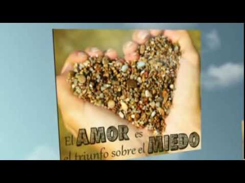 FRASES DE FELICIDAD! Transforma tu día con estas frases de felicidad! - Chamalú