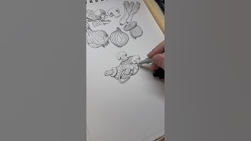 27. Onion + mushrooms. Inktober 2025 #ink #art #inktober2025 #inktober #inktober2025onion #drawing