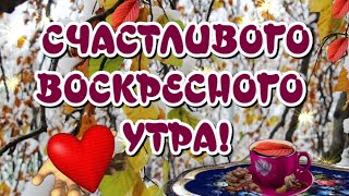 Доброе Утро Воскресенья 😀Последнее Воскресенье Осени 🍁До Свидания, Осень 🎶Очень Красивая Музыка