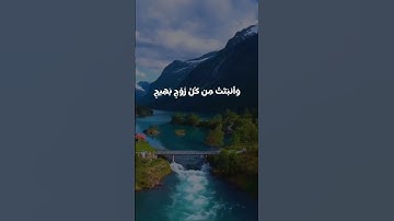 قرآن كريم سورة الحج  بصوت الشيخ / ياسر الدوسري 😴🤍