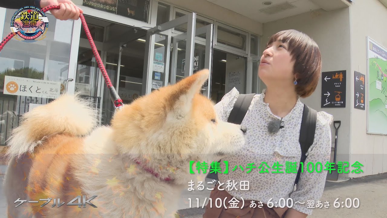 リサラーソン限定秋田犬Akitainu Lisalarsonハチ公hachi Lisa Larson_