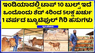 EP-3 How Much Investment Required for Gir Cow Farming || INDIANS TOP 3 BULLS IN Hebbevu Farms