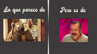 Humor Animal - 9GAG Humor Animal - 9GAG