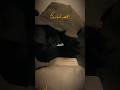 #shahib_official_001 #youtubeshorts #sayri_status_video #allhahuakbar #whatsappst #allha #love #vir