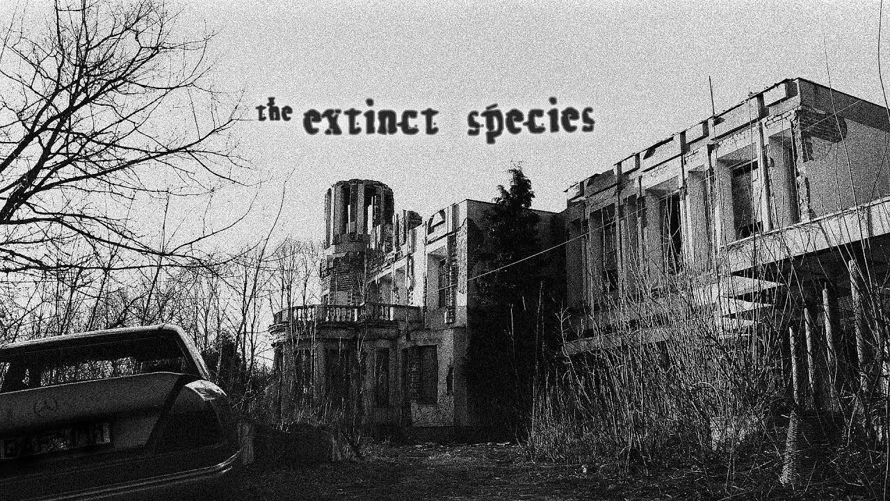 "Notes of the Last Man" - trailer of a post-apocalyptic photo book