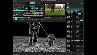 Famous [Resolume Plugins] DeepDepth – Contour (FFGL for Mac) Net Worth