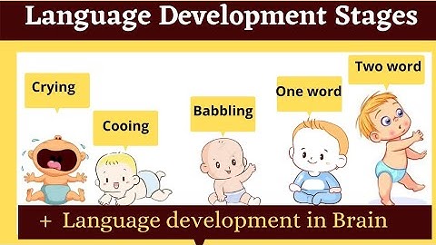 language development stages in childhood | babbling cooing