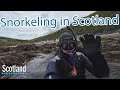 Snorkeling in Scotland - Pennan - Moray Firth